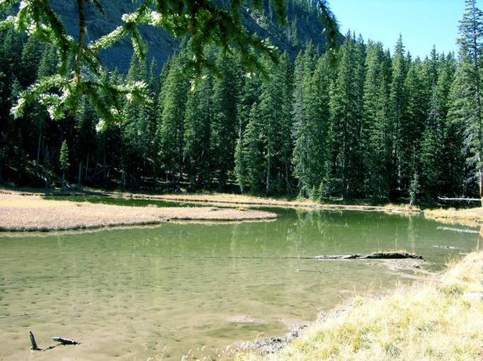 South Fork Hondo Pond lo