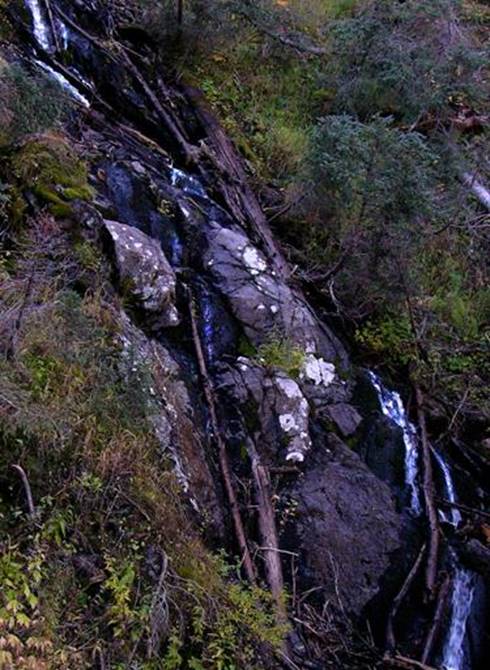 Avalanche Creek Falls lo