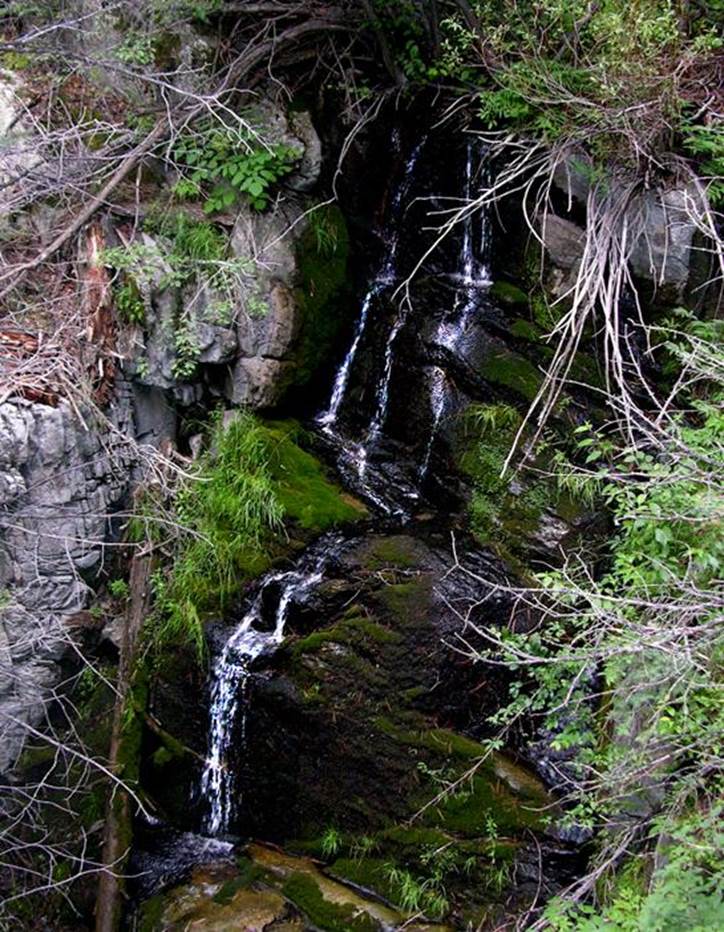 Description: Lost Creek Falls