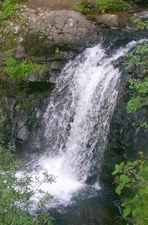 Clear Creek Falls #1