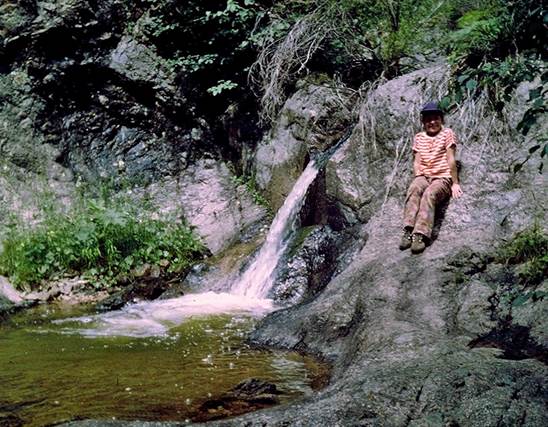 Macho Creek Collins