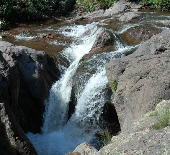 lincoln national forest