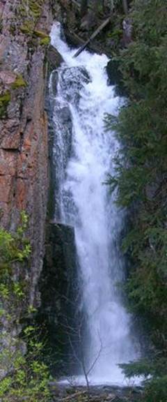 Puerco Lichen Falls1