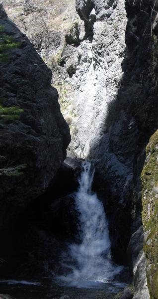 Ravine Falls20