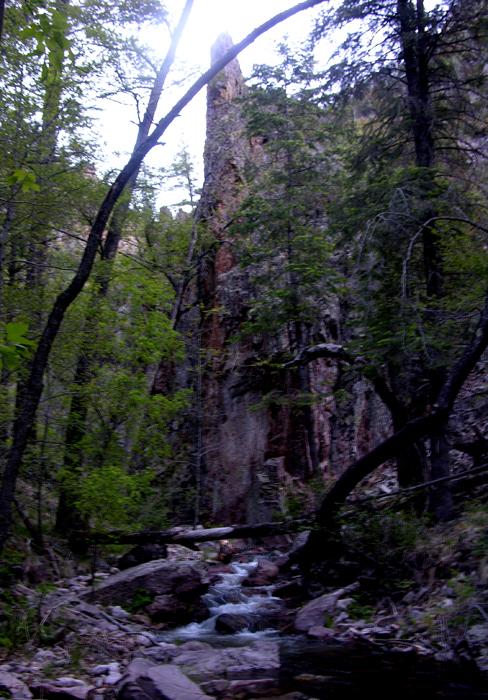 Spruce Creek