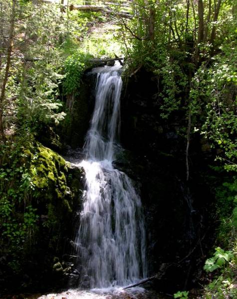 Waterfall Creek Falls Lower