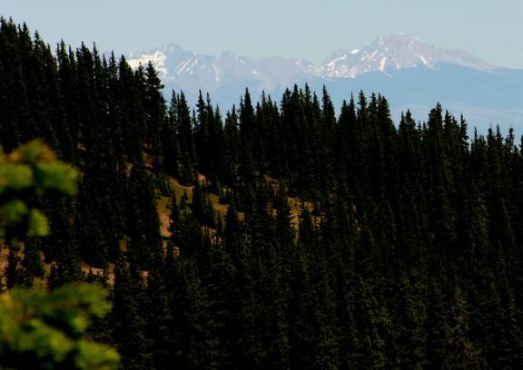 Blanca from Baldy