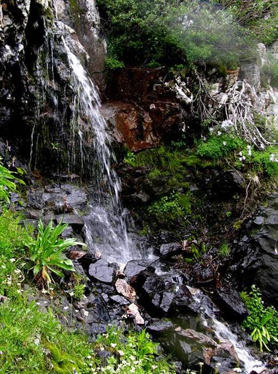 Williams Basin Falls