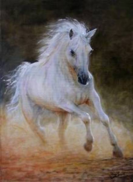 Description: 96 White Horse lo