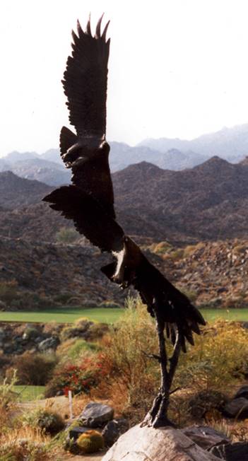 Eagles at Big Horn